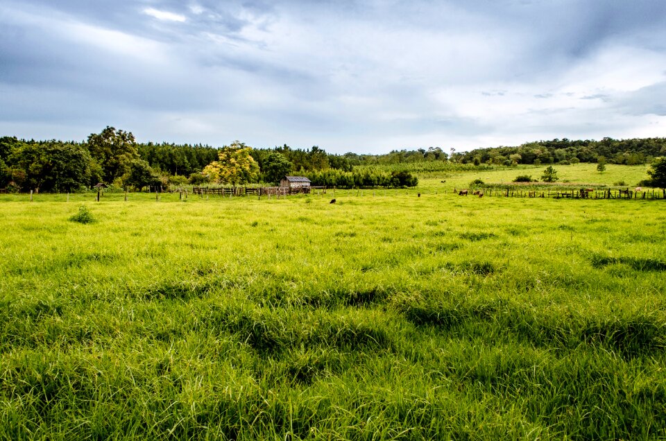 Free stock photo from Flickr