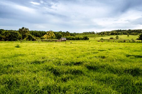 Free stock photo from Flickr