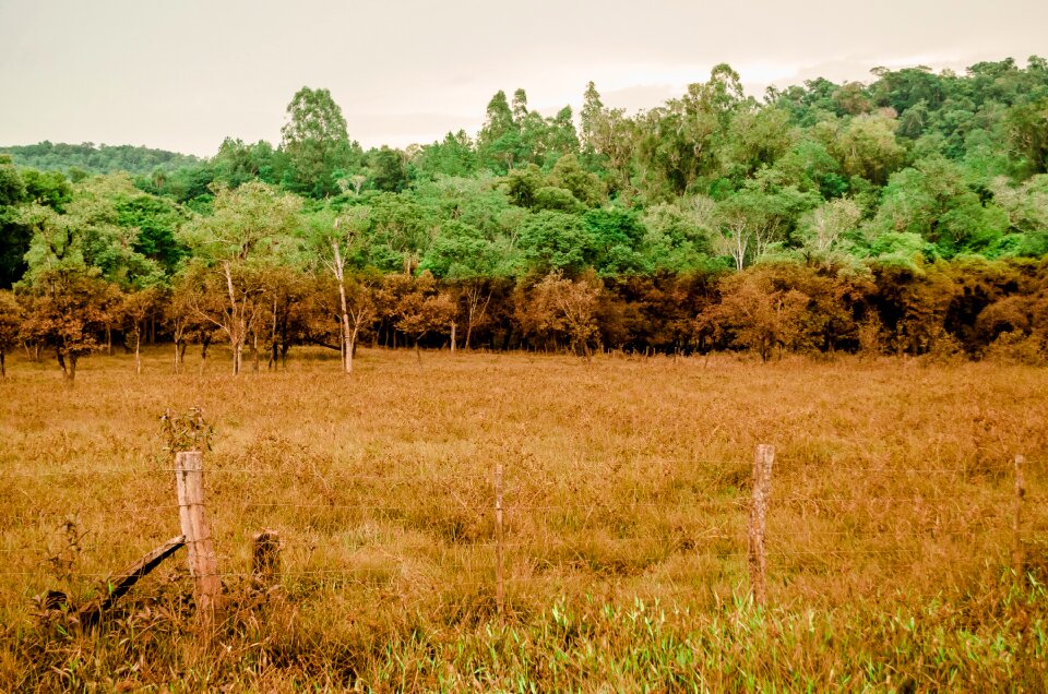 Free stock photo from Flickr
