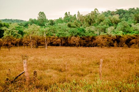 Free stock photo from Flickr