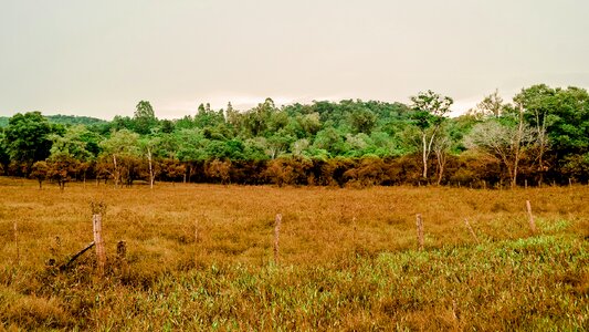 Free stock photo from Flickr