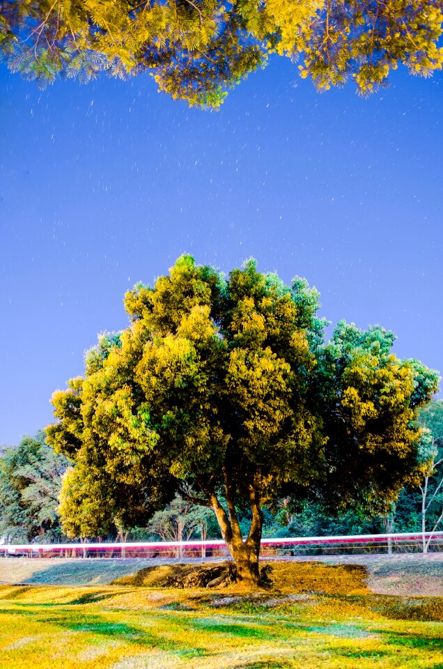 Free stock photo from Flickr