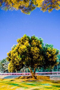 Free stock photo from Flickr