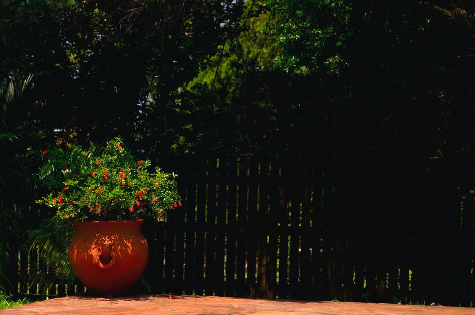 Free stock photo from Flickr