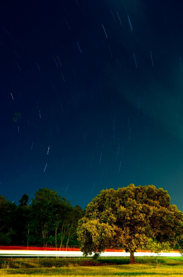 Free stock photo from Flickr