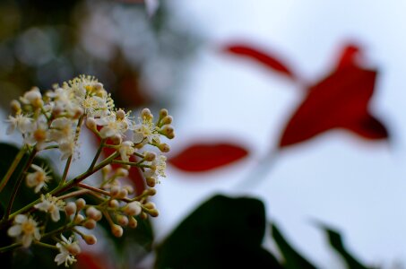 Free stock photo from Flickr