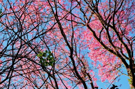 Free stock photo from Flickr