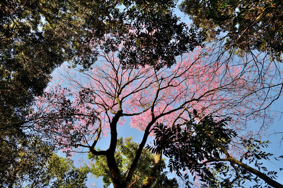 Free stock photo from Flickr