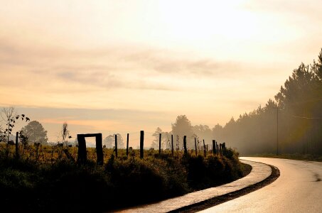 Black Curve Asphalt Road Beside Green Field photo