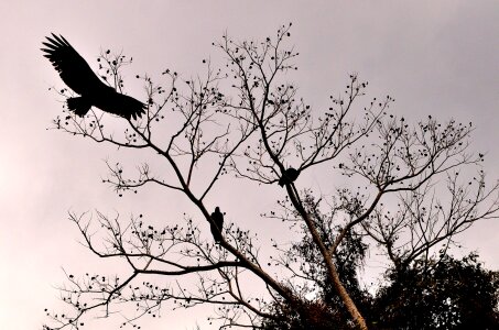 Free stock photo from Flickr