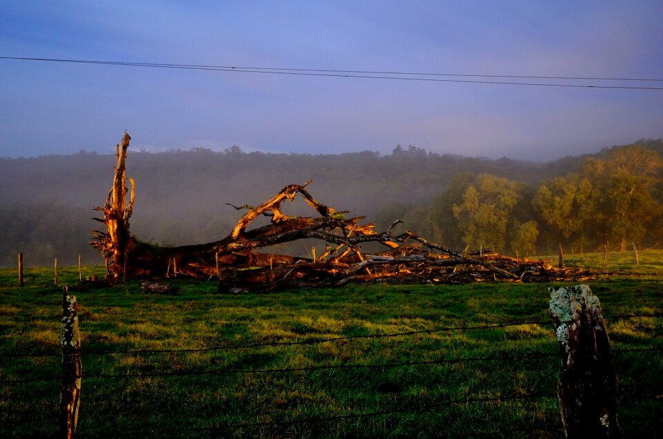 Free stock photo from Flickr