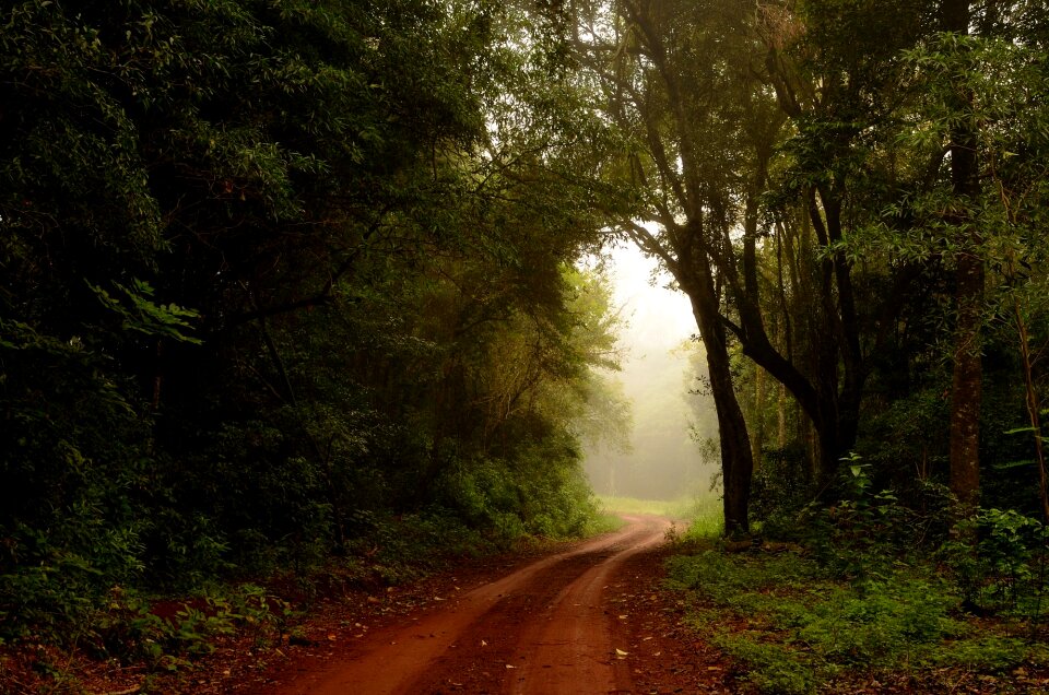 Free stock photo from Flickr