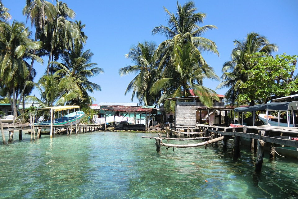 Sea palm trees jetty