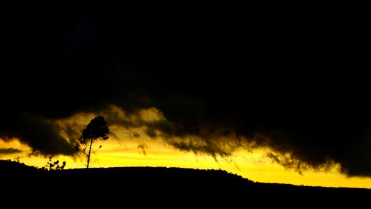 Free stock photo from Flickr