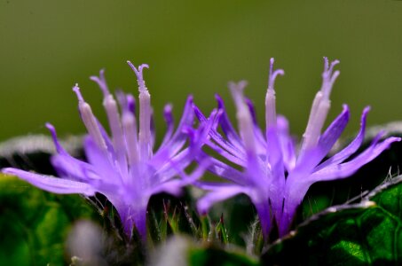 Free stock photo from Flickr