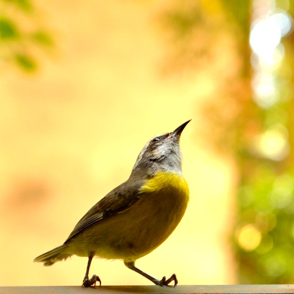 Free stock photo from Flickr
