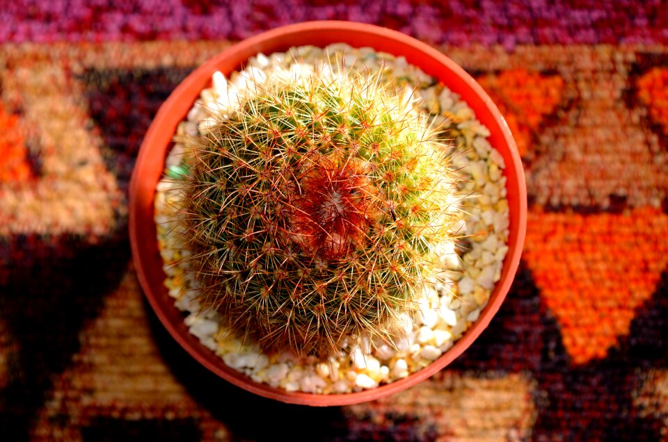 Free stock photo from Flickr