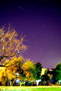 Free stock photo from Flickr