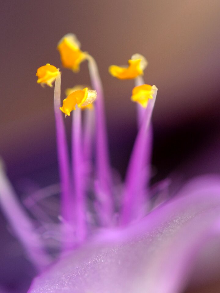 Free stock photo from Flickr