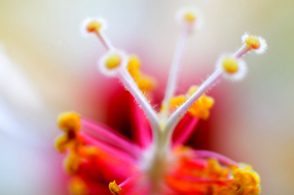 Free stock photo from Flickr