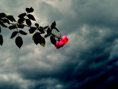 Free stock photo from Flickr