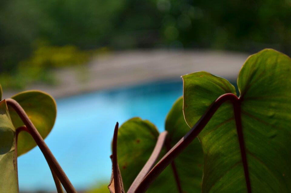 Free stock photo from Flickr