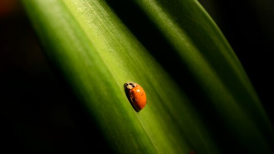 Free stock photo from Flickr