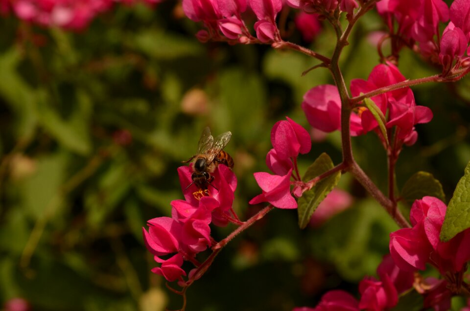Free stock photo from Flickr
