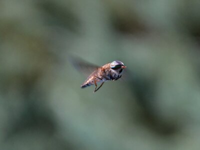 Free stock photo from Flickr