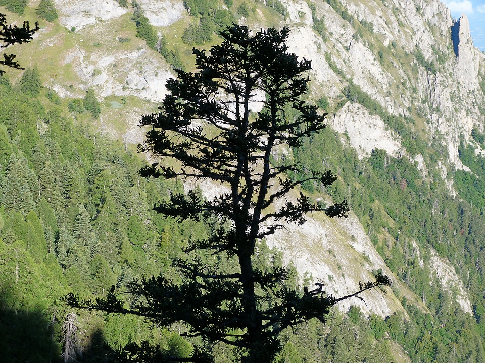 Landscape contrast mountain photo