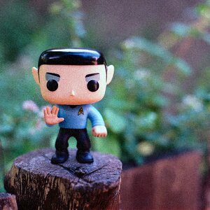 Free stock photo from Flickr