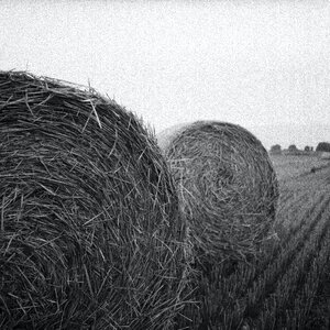 Gray Scale Photo of Haystack on Field photo