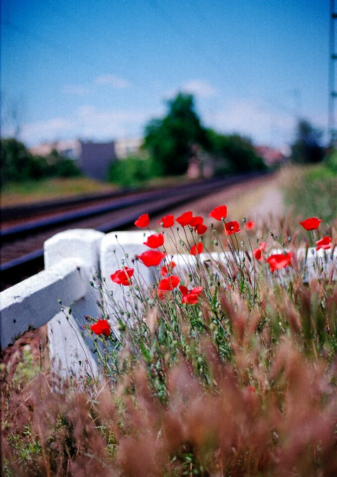 Free stock photo from Flickr