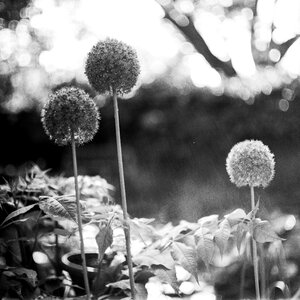 Free stock photo from Flickr