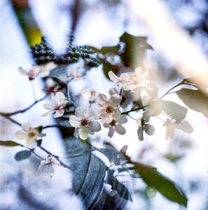 Free stock photo from Flickr