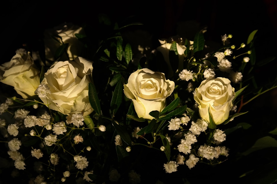 Bouquet bouquet of roses white roses