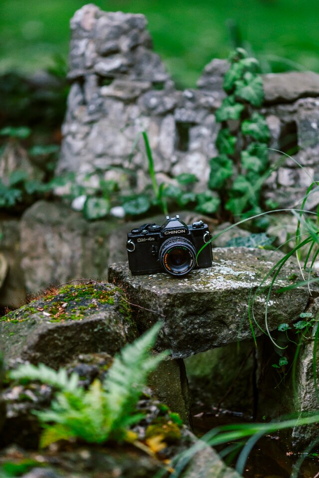 Free stock photo from Flickr