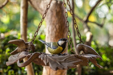 Free stock photo from Flickr