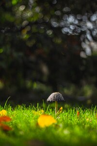 Free stock photo from Flickr