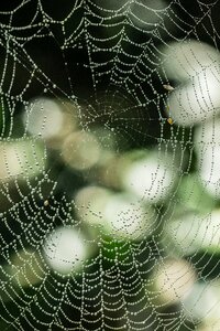 Free stock photo from Flickr