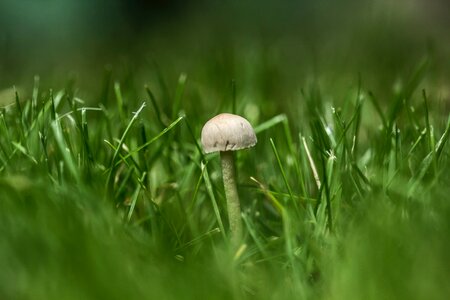 Free stock photo from Flickr