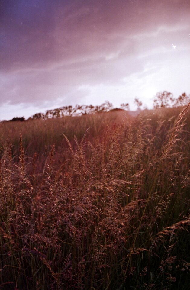 Free stock photo from Flickr