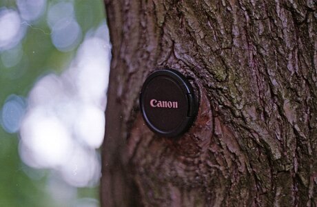 Free stock photo from Flickr