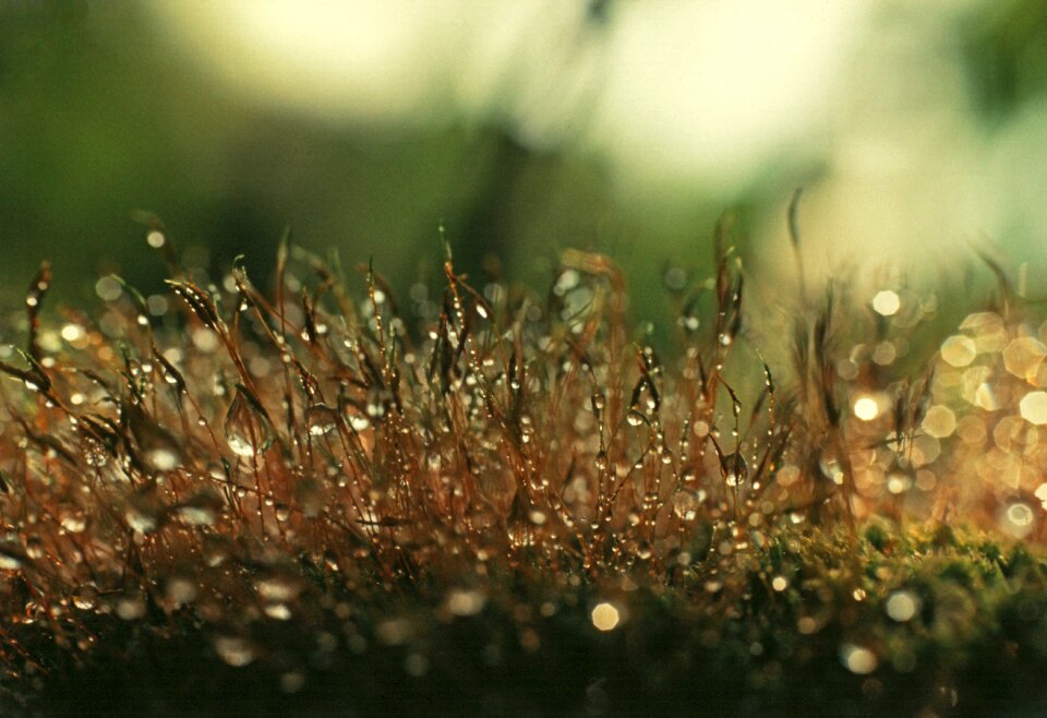 Free stock photo from Flickr