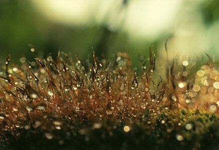 Free stock photo from Flickr
