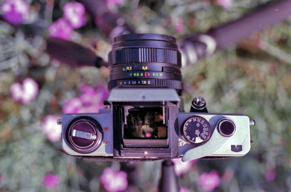 Free stock photo from Flickr