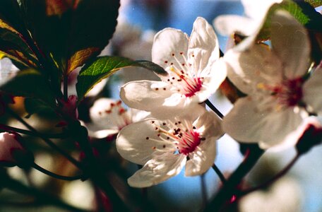 Free stock photo from Flickr