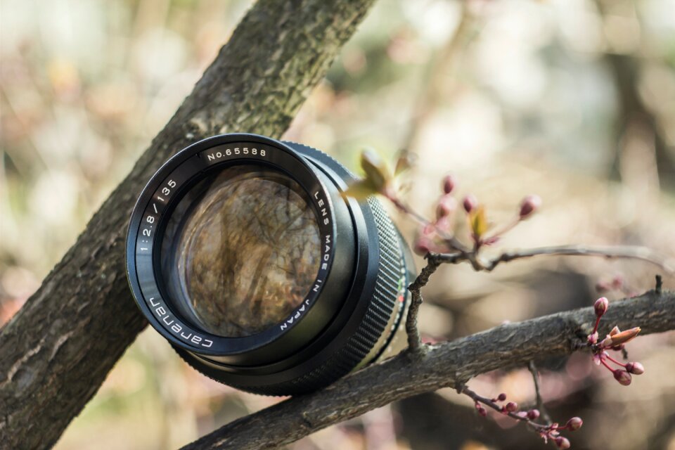 Free stock photo from Flickr