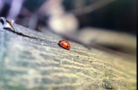 Free stock photo from Flickr