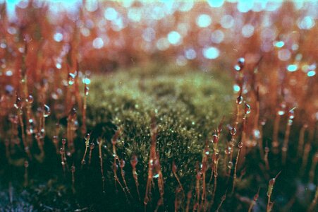 Free stock photo from Flickr